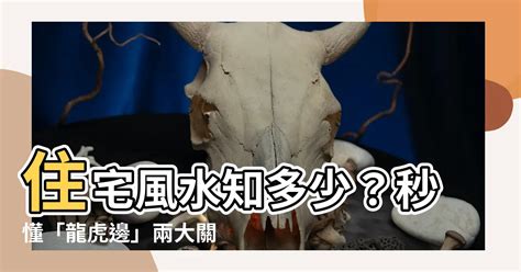 樓梯在虎邊化解|【住宅龍虎邊】住宅風水知多少？秒懂「龍虎邊」兩大。